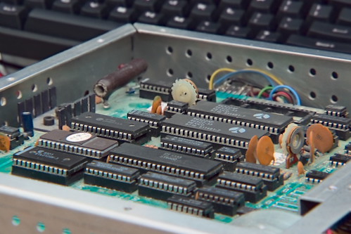 Scorpion Orginal Board